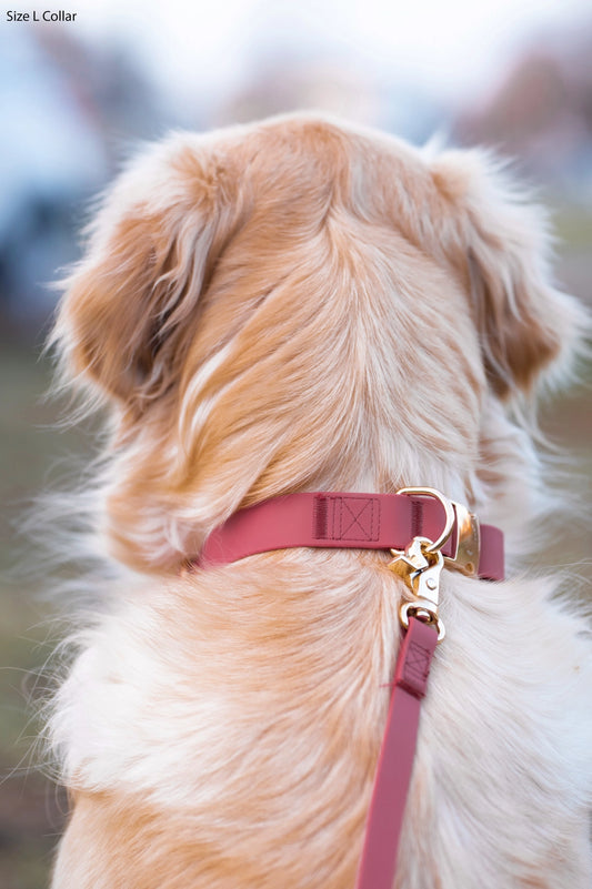 Mulberry Burgundy 4-in-1 Convertible Hands Free Cloud Dog Leash by Sunny Tails