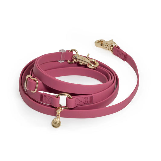 Mulberry Burgundy 4-in-1 Convertible Hands Free Cloud Dog Leash by Sunny Tails