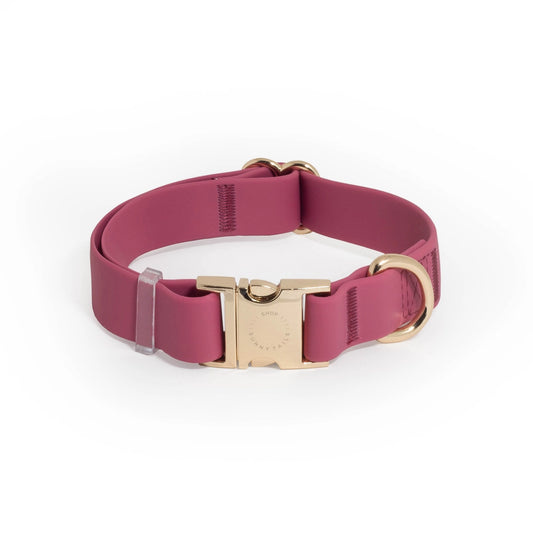 Mulberry Burgundy Waterproof Dog Collar by Sunny Tails