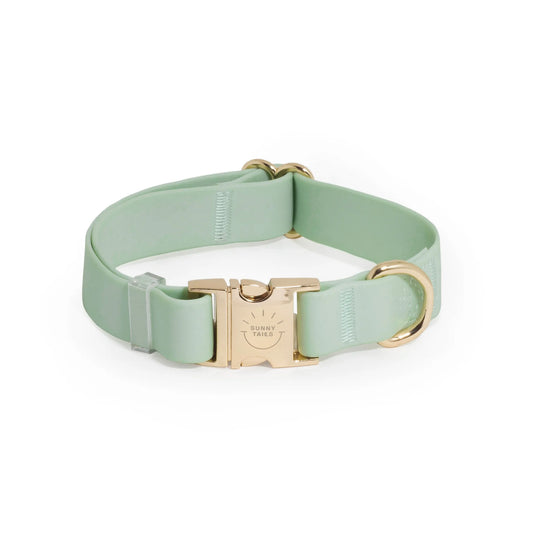 Pistachio Green Waterproof Dog Collar by Sunny Tails