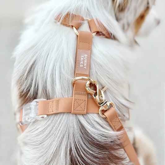 Chai Brown Cloud Lite Dog Harness by Sunny Tails