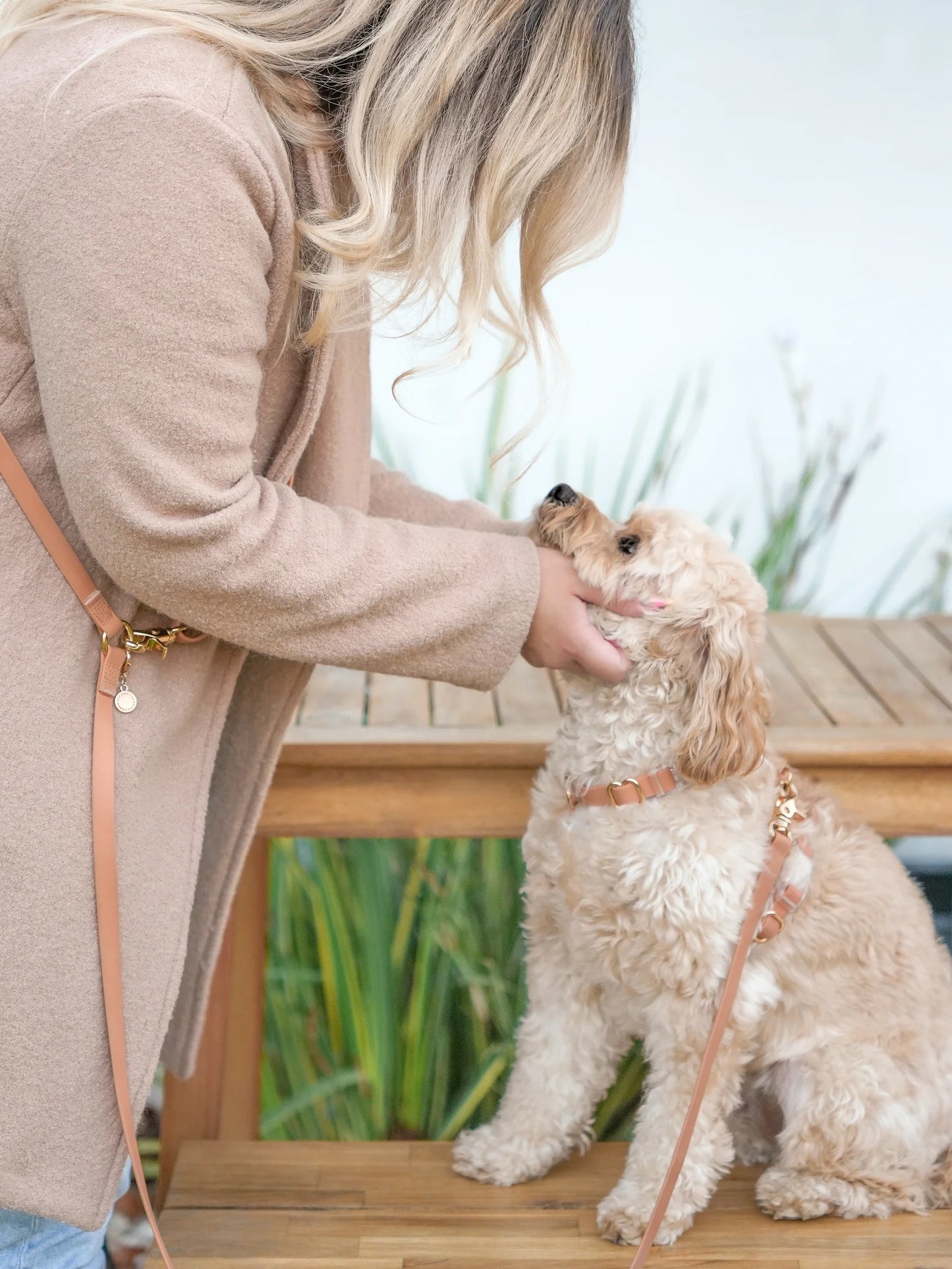 Chai Brown 4-in-1 Convertible Hands Free Cloud Dog Leash by Sunny Tails