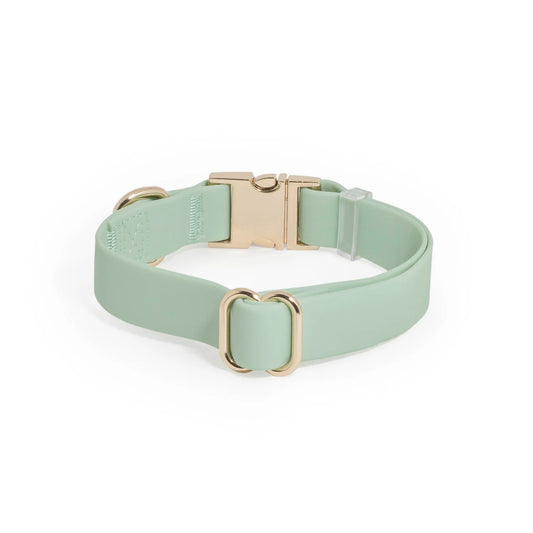 Pistachio Green Waterproof Dog Collar by Sunny Tails