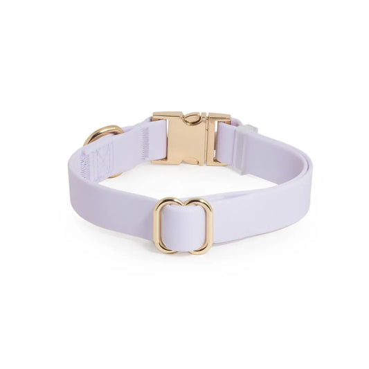 Lavender Haze Waterproof Dog Collar by Sunny Tails