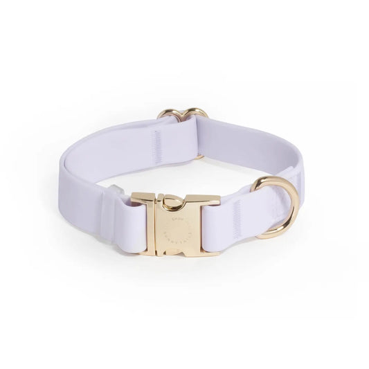 Lavender Haze Waterproof Dog Collar by Sunny Tails