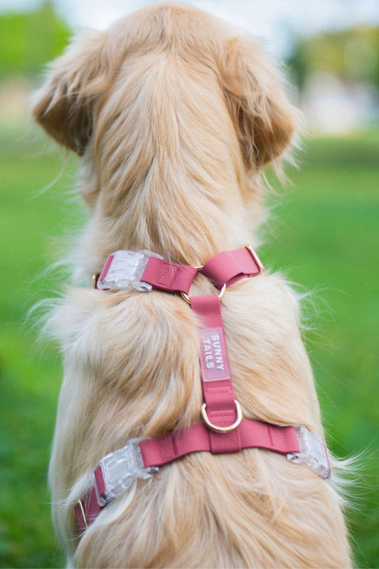 Mulberry Burgundy Cloud Lite Dog Harness by Sunny Tails