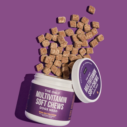 The Only Multivitamin Soft Chews Dogs Need by Natural Rapport