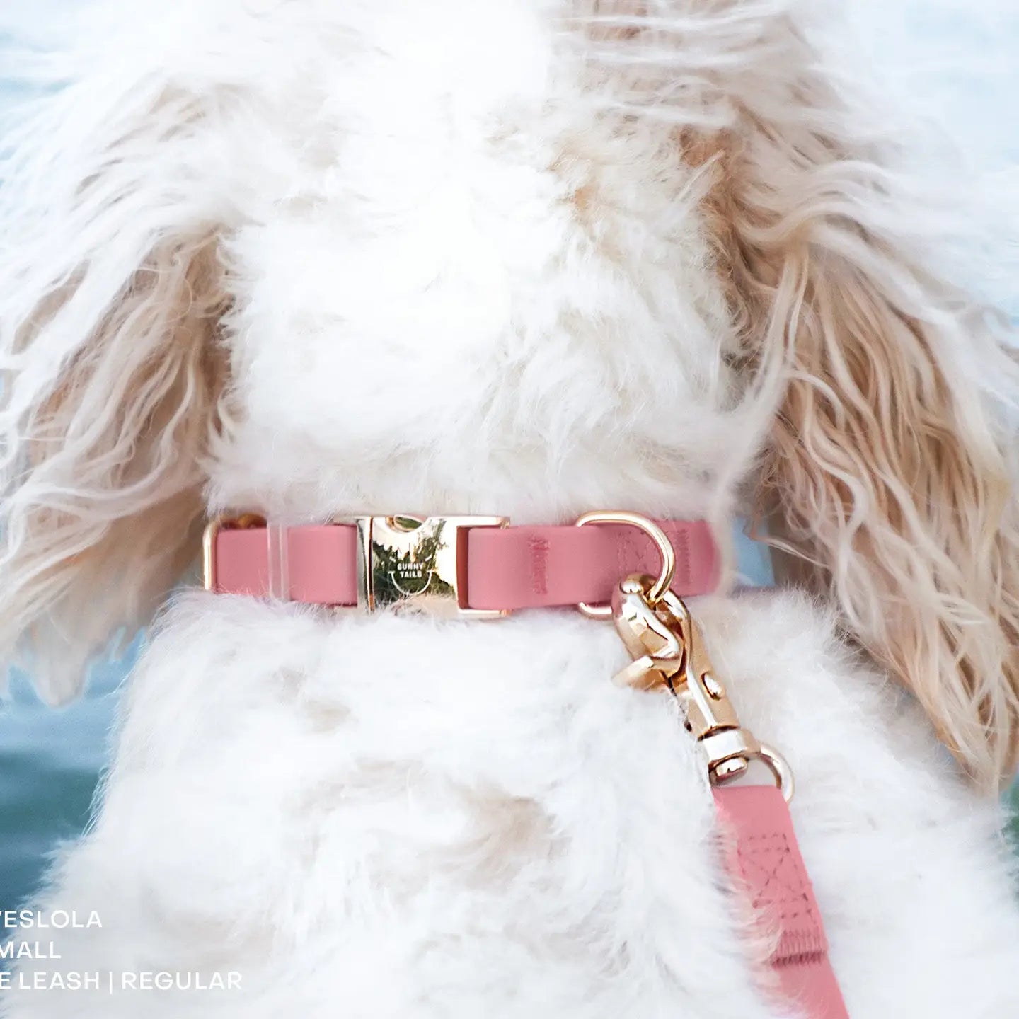 Perfect Pink Waterproof Dog Collar by Sunny Tails