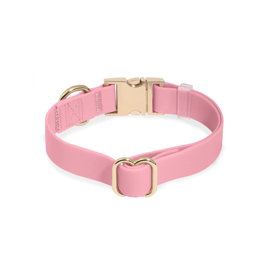 Perfect Pink Waterproof Dog Collar by Sunny Tails