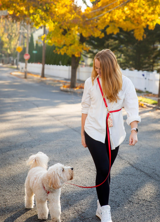 Cherry Red 4-in-1 Convertible Hands Free Cloud Dog Leash