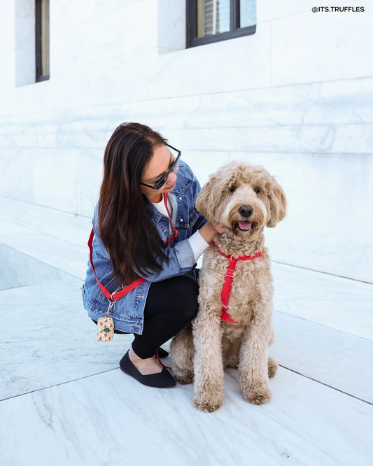 Cherry Red Cloud Lite Dog Harness by Sunny Tails