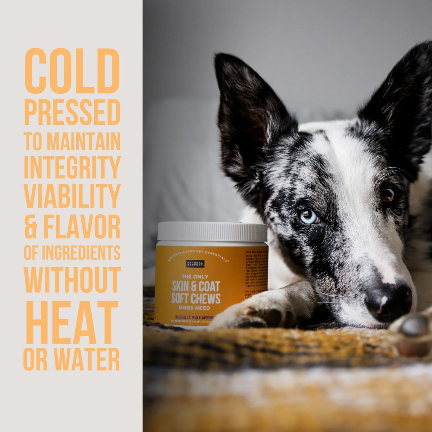 The Only Skin & Coat Soft Chews Dogs Need by Natural Rapport